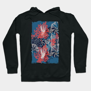 Corals and starfish Hoodie